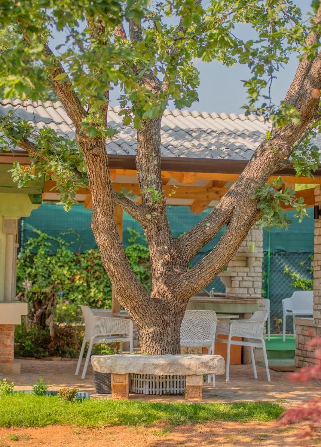Studio App Luka-We Love Nature. Sveti Ivan  Exterior photo