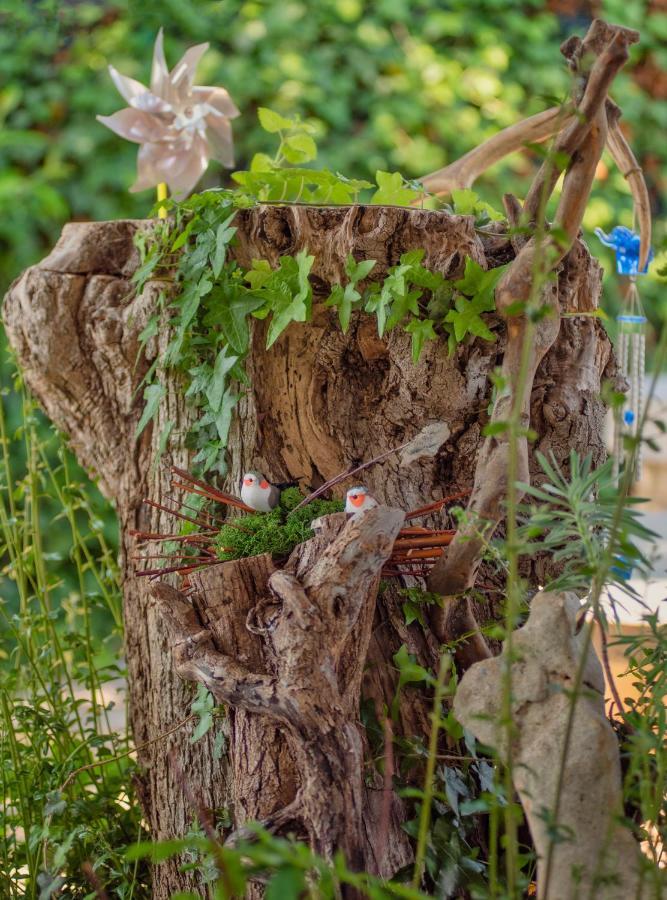 Studio App Luka-We Love Nature. Sveti Ivan  Exterior photo
